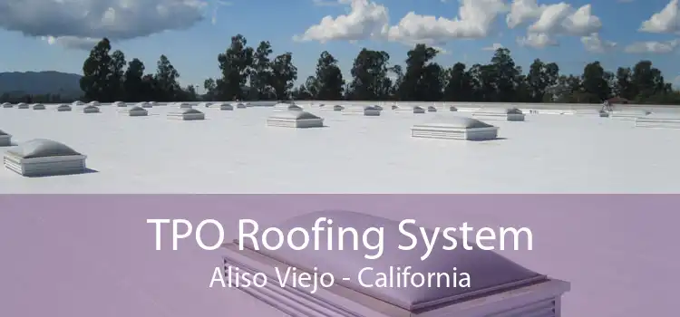 TPO Roofing System Aliso Viejo - California